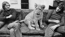 christian-lion.jpg