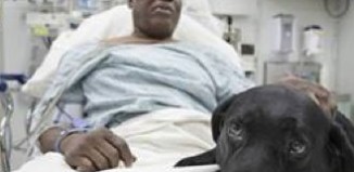 blind man saved by guide dog