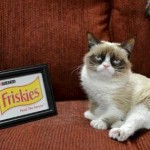 Grumpy cat with Friskies logo