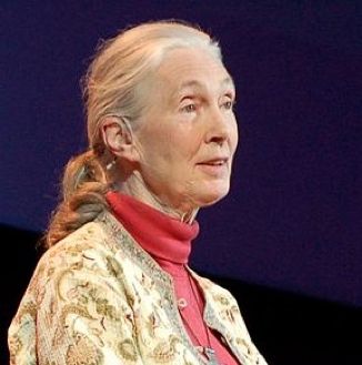 Good News in History, April 3 Jane_Goodall-Tedx_Conf