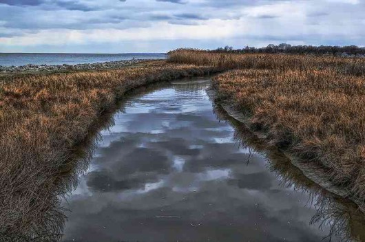 U.S. States Sign Regional Pact To Restore Chesapeake Bay - Good News ...