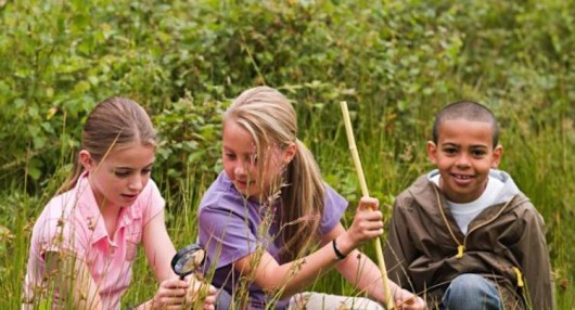 Every 4th Grader to Get Free 1-Year Pass to National Parks - Good News ...