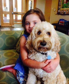 Labradoodle Fetches Hope For Girl In Long Term Treatment - Good News 