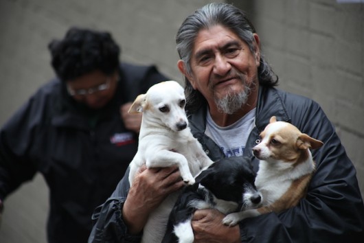 Woman Starts Program For Pet Owners In Poverty Which Is Now In 28 States