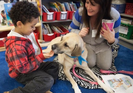 Best Class in Chicago Invites Dogs to Read With Kids