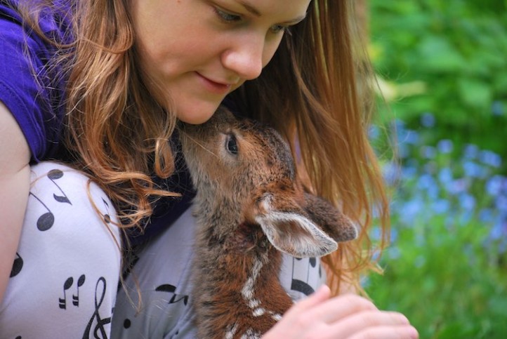 Family Makes Incredible New Friend After Saving Fawn From Ravens - Good ...