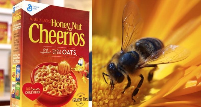 Honey Nut Cheerios Gives Back To Bees Planting 3300 Acres Of Habitat Good News Network 