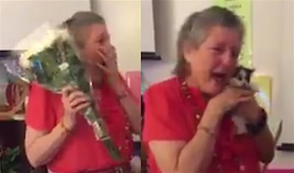 WATCH Students Surprise Teacher With Kitten After She Loses Her Cat