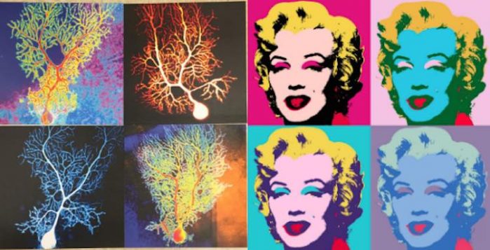 This Scientist Created Art Out of Living Brain Neurons (LOOK) - Good ...