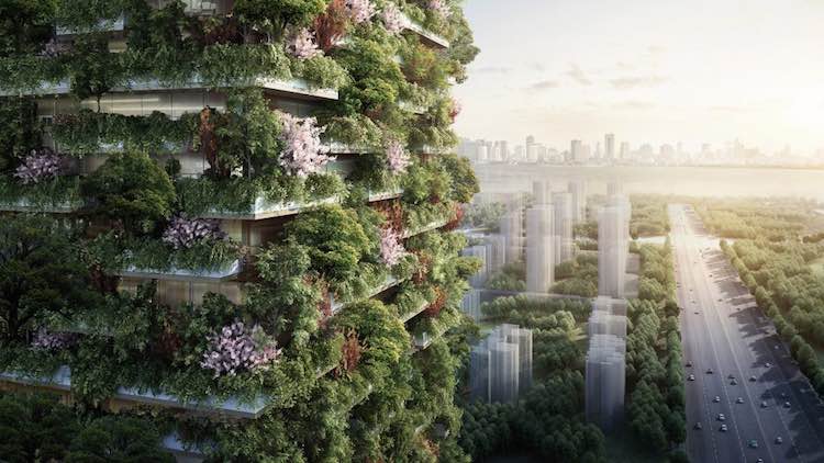 Trees Growing Out of Buildings Could Help Heal China's Air