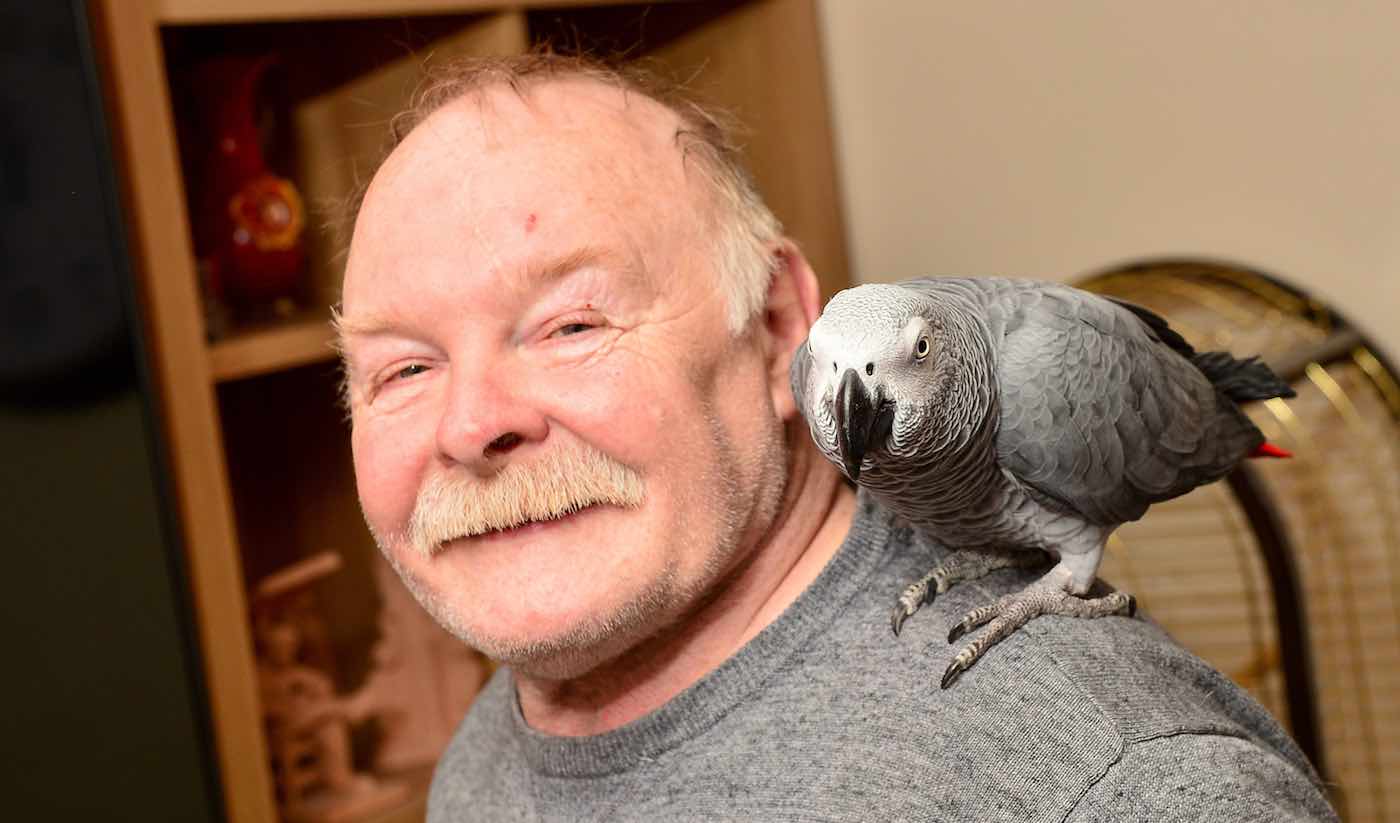 Firefighters Amused After Rushing to a Call Only to Find Parrot ...