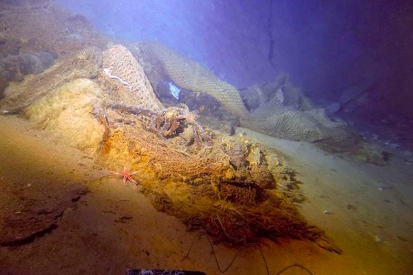 After Decades of Federal Protection, Hawaiian Coral Reefs Are Returning ...