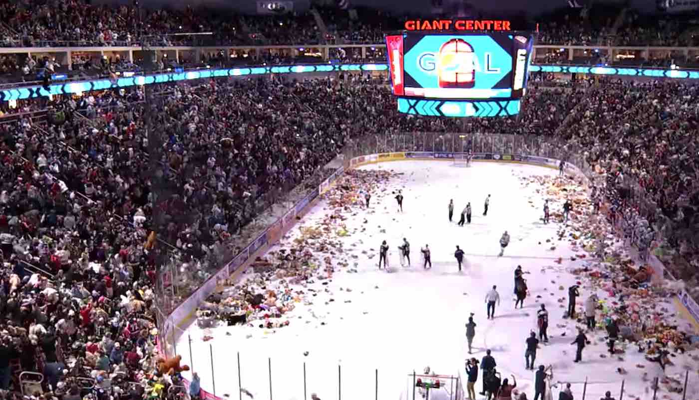 Hockey Fans Toss So Many Stuffed Animals During A Game It Breaks A World  Record