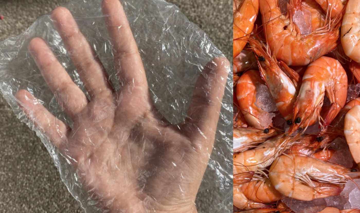 https://www.goodnewsnetwork.org/wp-content/uploads/2020/03/prawns-shrimp-and-plastic-bag-over-hand-released-pubdomain.jpg