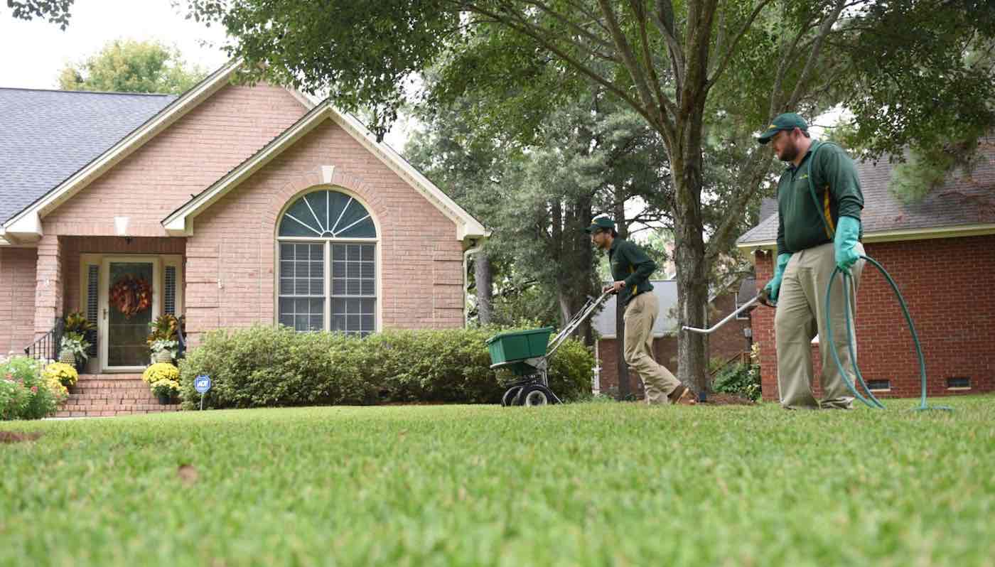 weed lawn care