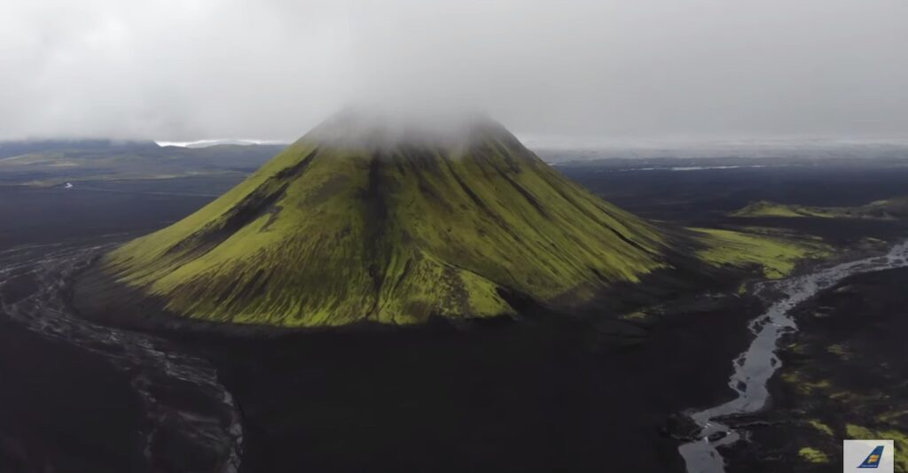 From Iceland — Ask An Expert: What Makes Icelandic Moss So Special?