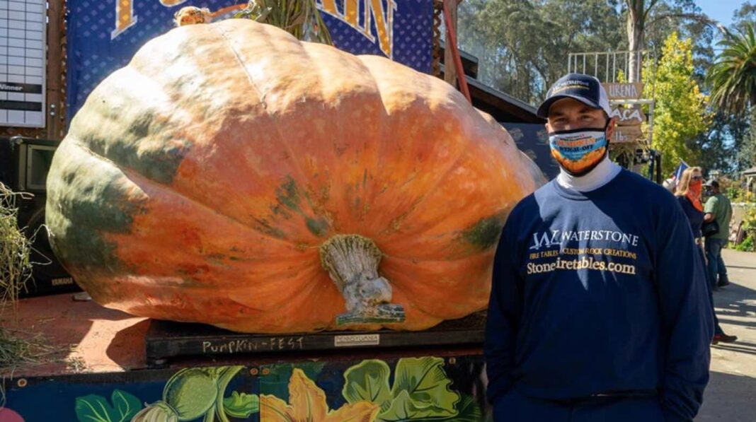 Monster Pumpkin Weighing 2350 Pounds Is Crowned Largest Grown In North