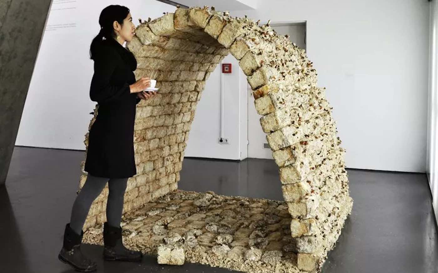 Buildings made with fungi could live, grow — and then biodegrade