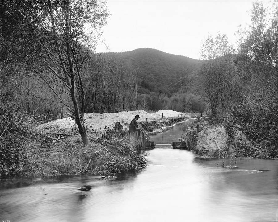 Endangered Trout May Soon Return to Los Angeles