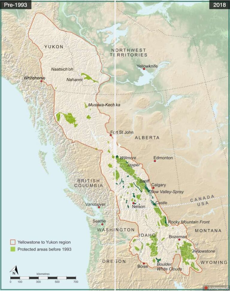 Yukon to Yellowstone Wildlife Corridor Makes Massive Gains Since ‘Y2Y ...