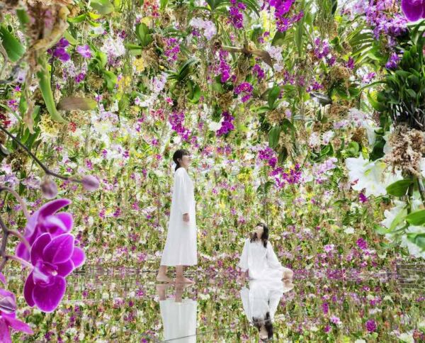 A Floating Flower Garden in Tokyo Immerses Visitors With Orchids That ...