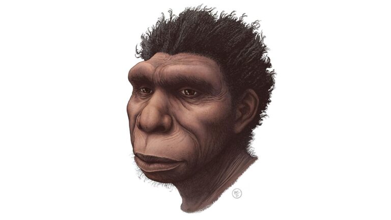 A New Species of Human Ancestor was Just Named Homo Bodoensis – A ...