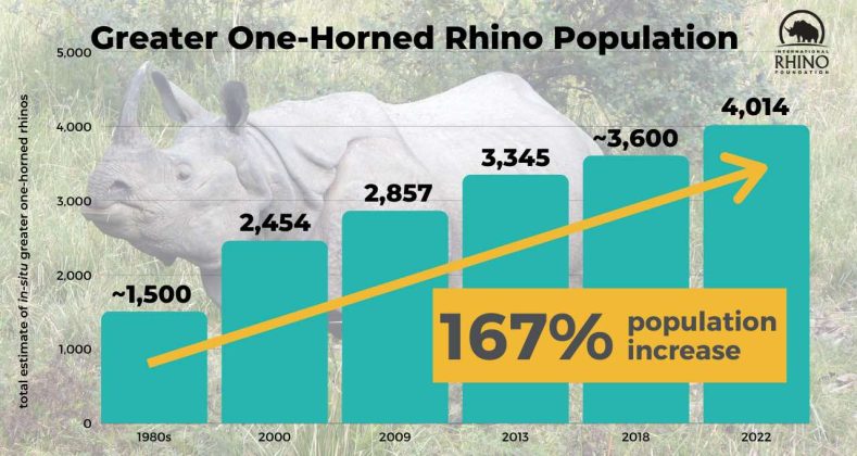 Number of Greater One-Horned Rhinos Reaches New High – Up From Just 100 ...