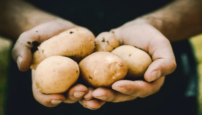 Potatoes Don T Deserve Their Bad Reputation Here S Why You Should   Potato Unsplash 768x439 