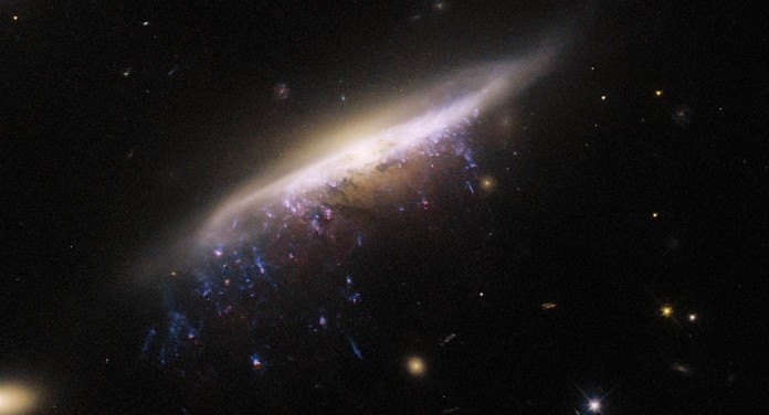 Galactic Jellyfish With ‘dangling Tentacles’ Of Star-forming Gas 