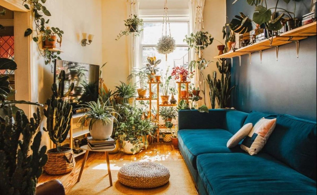 Rooms Filled with Plants Could Protect Us from Colds and Flu by ...