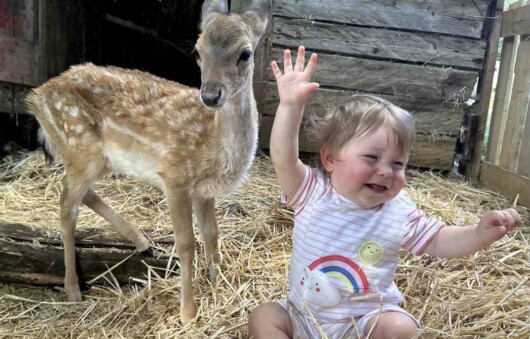 Orphaned Deer Falls Head Over Hooves For Rescuer's 11-Month-Old ...