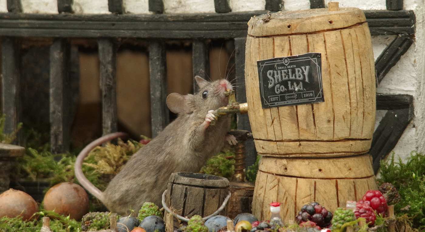 Man Who Built Adorable Mouse Village to Cope With Depression Adds a Pub ...