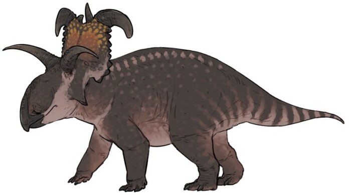 Giant New Species of Dinosaur Named Loki-ceratops for Horns That Look ...