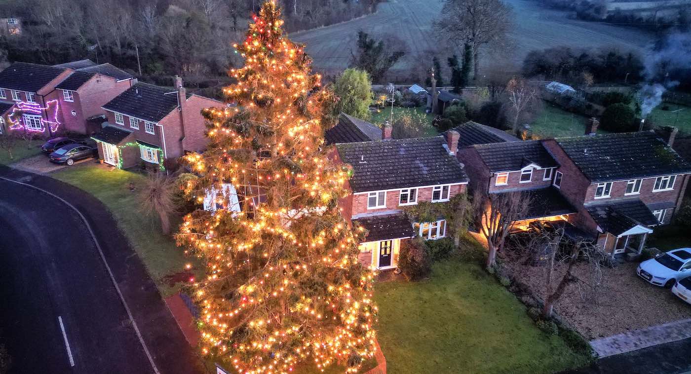 Tiny Christmas Tree Planted by Couple in 1979 is Now 52-ft Tall and Uniting a Town–LOOK