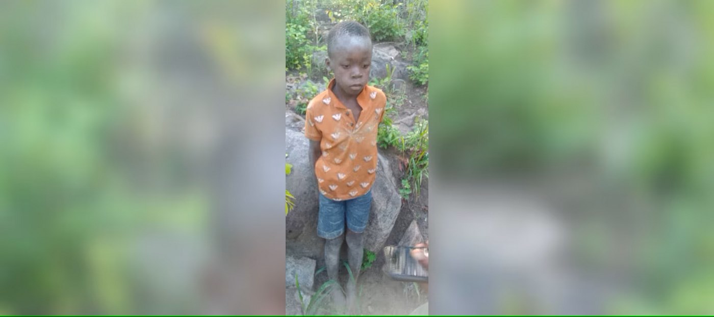 7-Year-Old Survives Lion-Infested Game Park in Zimbabwe Using Clever ...