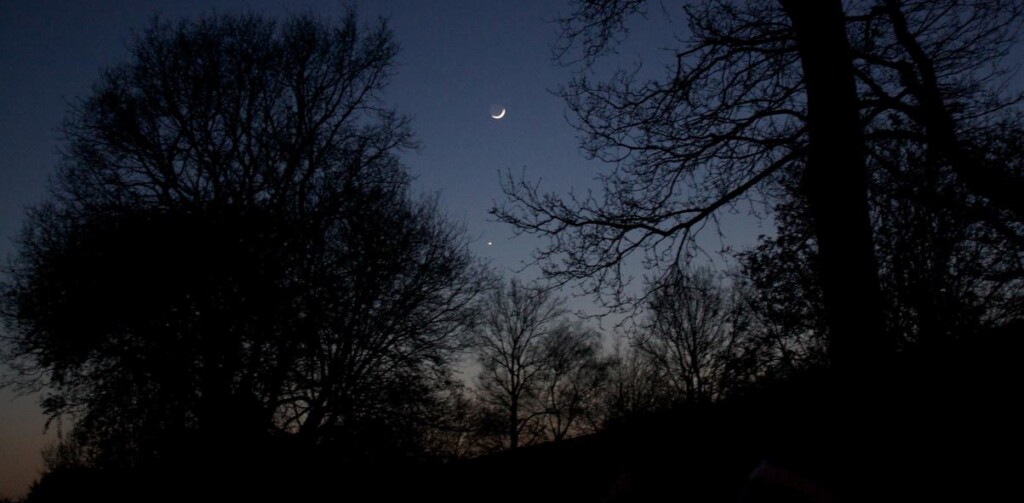 January Night time Sky Lit by way of a ‘Planet Parade’ with Very good Viewing of Mars, Venus, and Jupiter