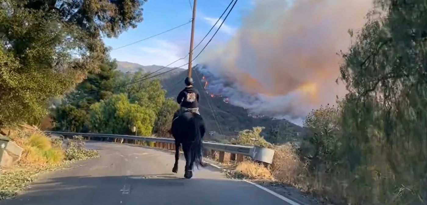 Teen Rescuer Bravely Rides Scared Horse 14 Miles Out of Burning Canyon – WATCH