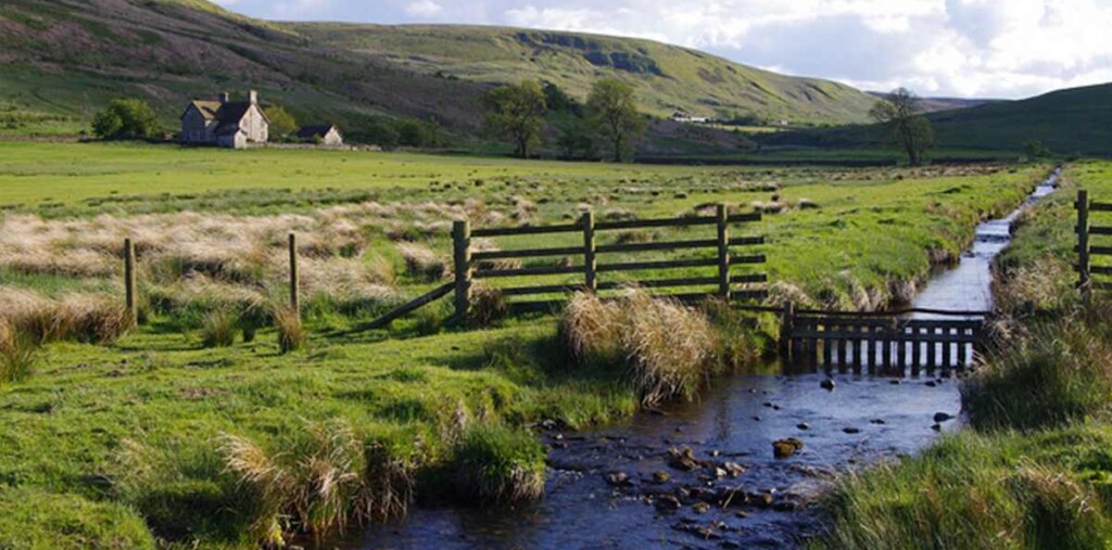 Geltsdale Reserve